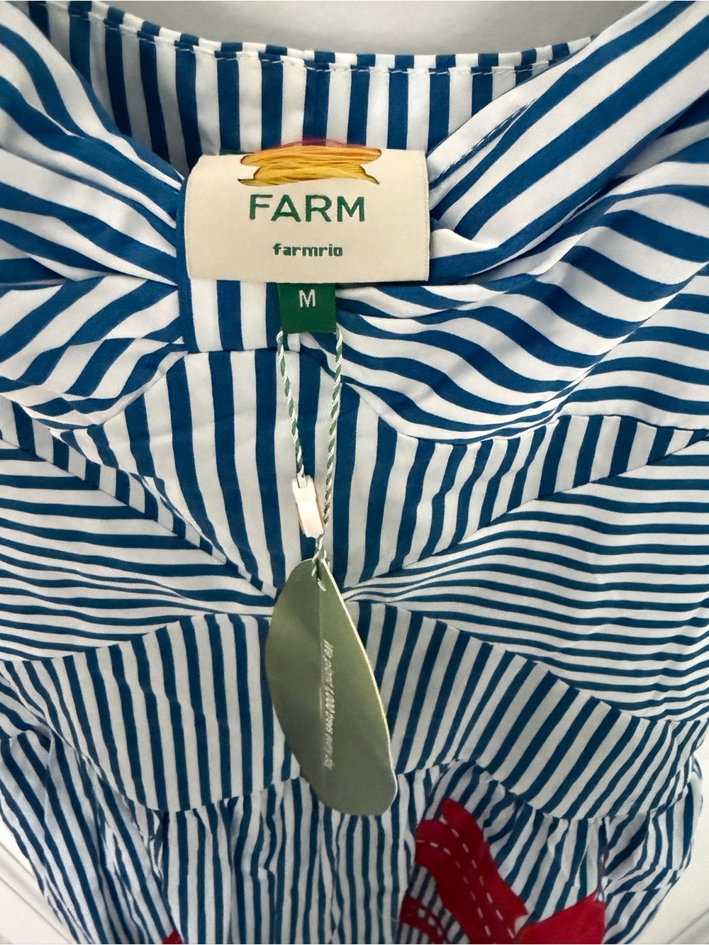 FARM Rio Blue Sky & White Striped Sundress with Red Floral Appliqué | M | NWT - Picture 8 of 10